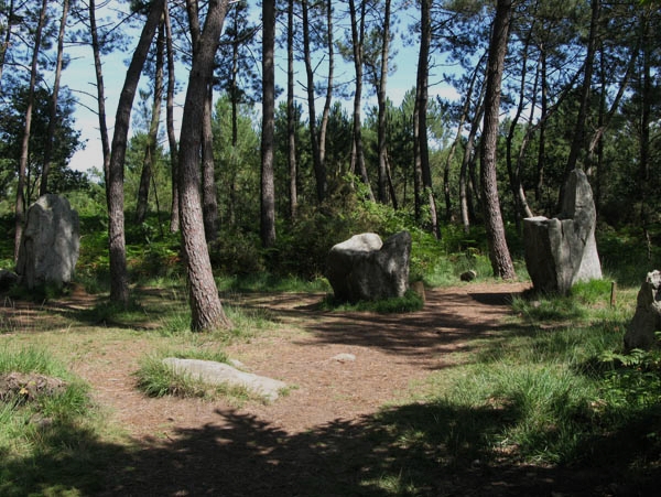 Alignements de Coet Er Bei